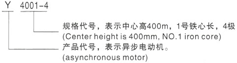 西安泰富西玛Y系列(H355-1000)高压陕州三相异步电机型号说明